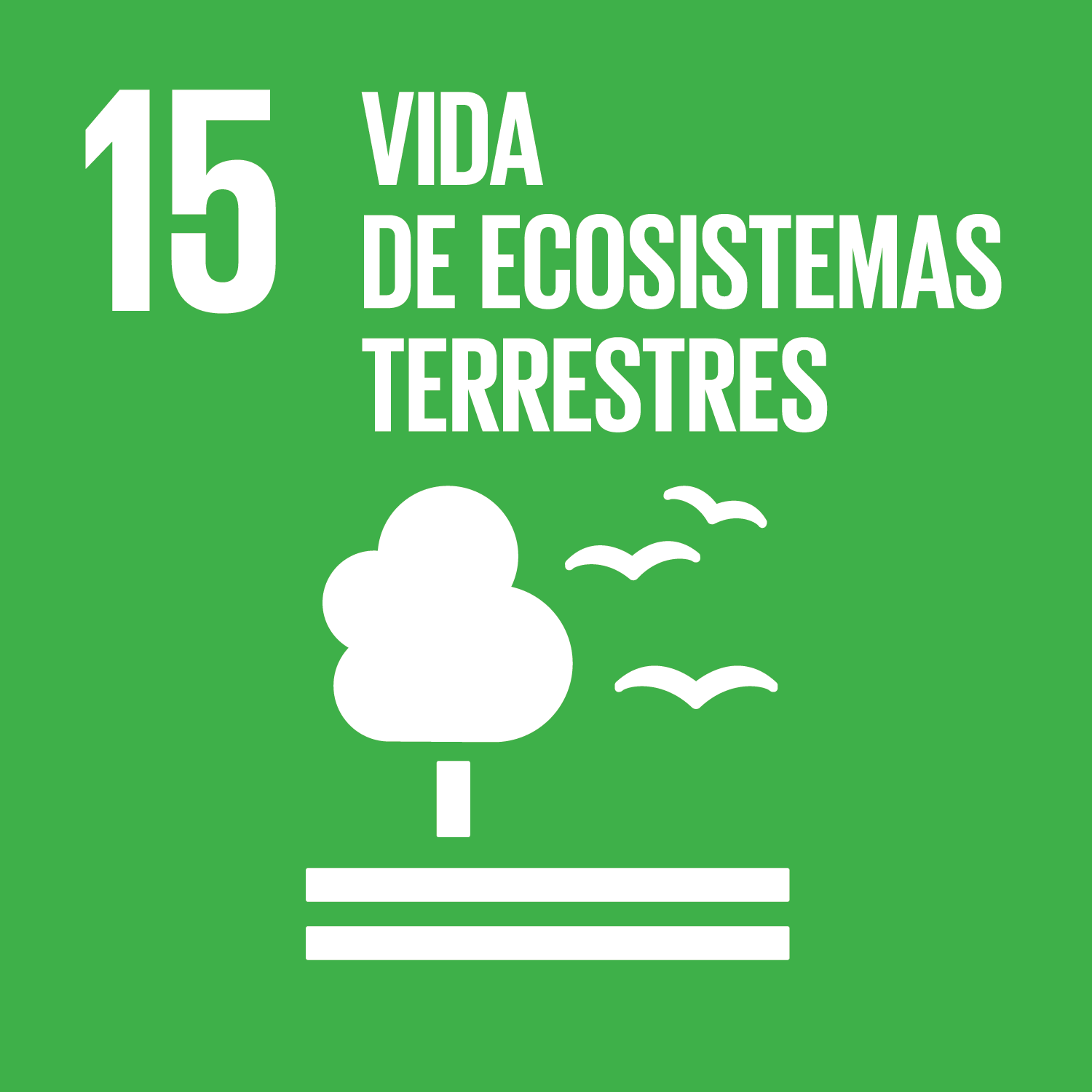 Impulsa Uceda Objetivos de Desarrollo Sostenible 15