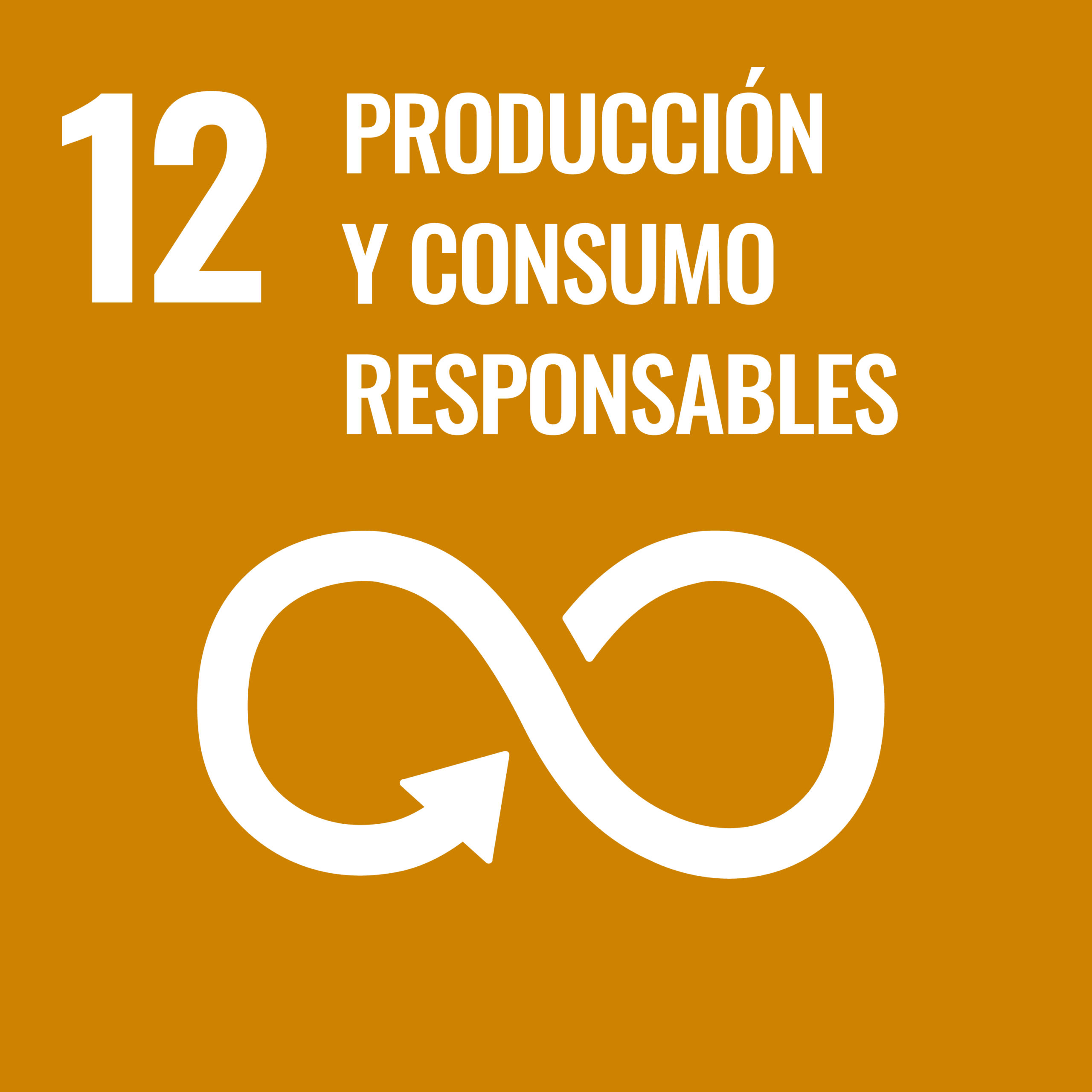 Impulsa Uceda Objetivos de Desarrollo Sostenible 12