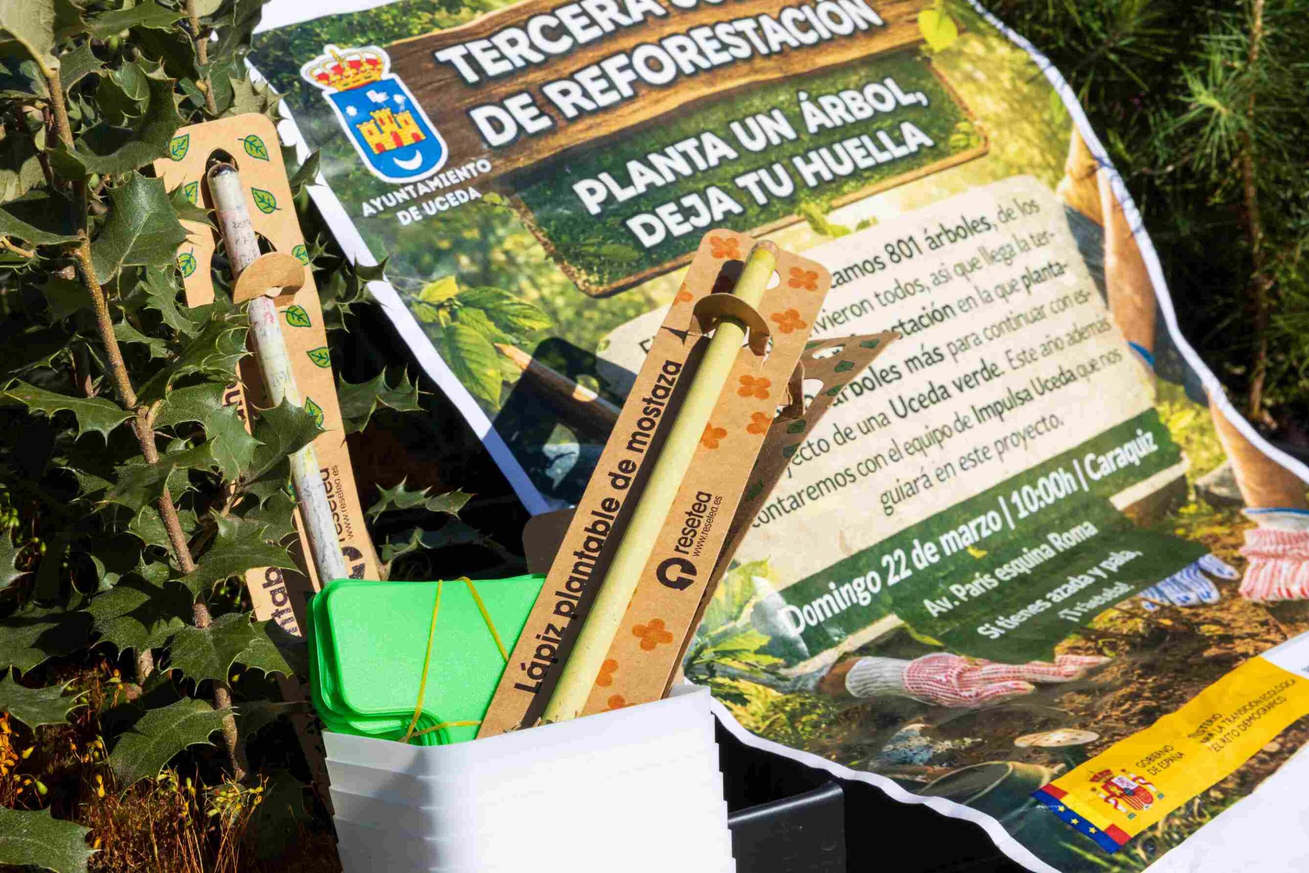 Reforestación y plantación Uceda
