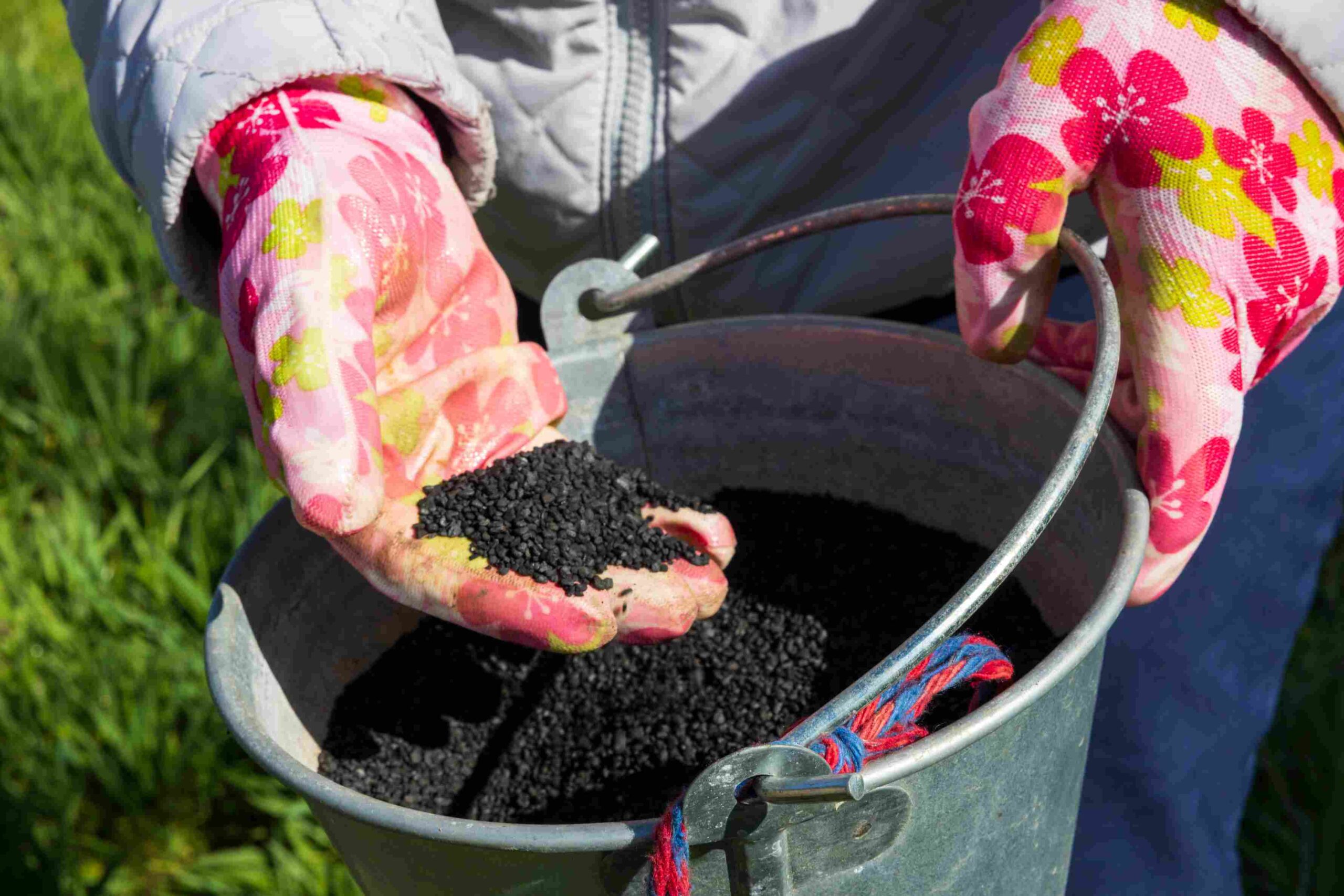 Biochar reforestación