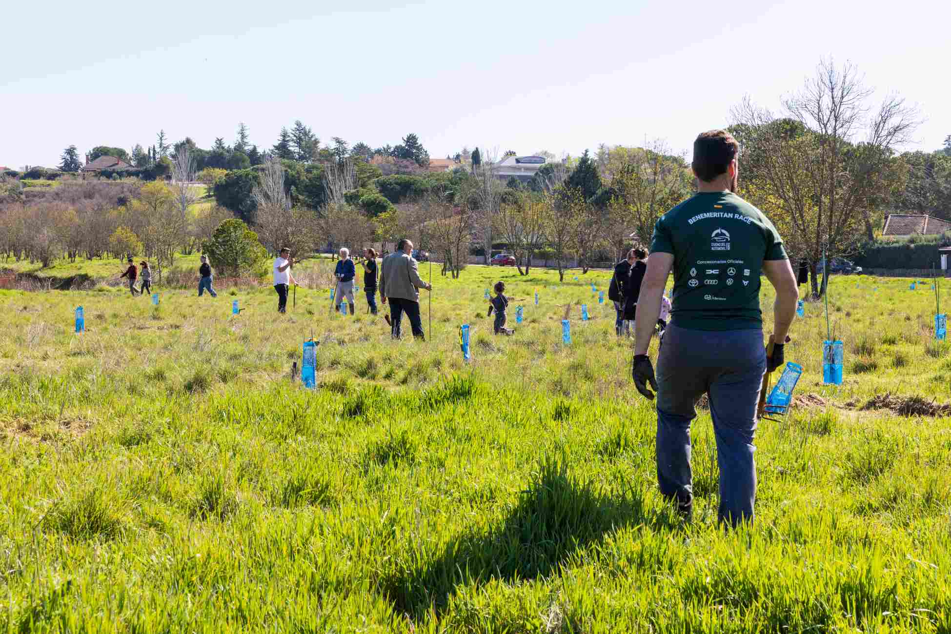 plantacion ayuntamiento Uceda